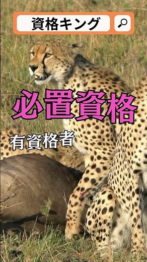 国家資格が最強な理由3選。国家資格を分かりやすく解説しています。 #国家資格 #資格 #名称独占資格 #業務独占資格 #必置資格 #資格取得