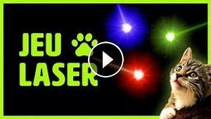 Jeu pour chat sur écran : LE LASER ! Vidéo pour amuser les chats et chatons. Et ça marche !