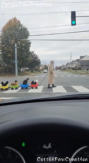 30M views · 1.5M reactions | The Cutest Cat Caravan Ever Seen at an Intersection   100% AI video for fun & laughs! Every scene is digitally created — no real animals, babies, or people.  Enjoy and share!  No reuploads. #AIreel #AIfunny #AIanimals #AIfun #CreativeAI #AIvideo #AImagic | Cotton Paw Creation | Facebook