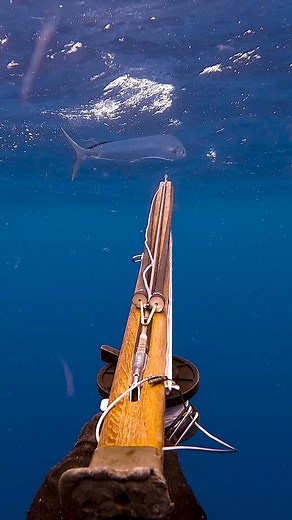 The Most Effective Throw Flasher I’ve Ever Seen ✨ I’ve made my own throw flashers before, but they don’t even come close to these in terms of consistency and effectiveness of @throwflashers. The attention to detail, like the octagonal 3D printed pipe design, really maximises the light reflection, making it visible to fish from miles away! The moment it hits the water, it mimics the flash and movement of baitfish, triggering predators’ hunting instincts 🐠 I’ve seen it time and time again, these