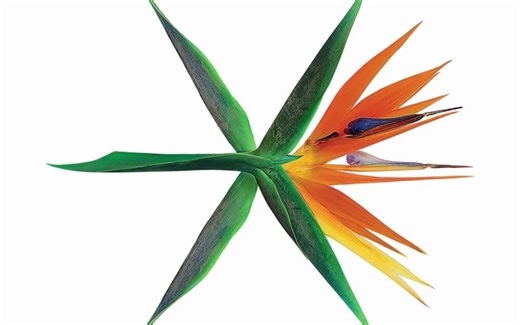 【人声提取】 THE EVE exo