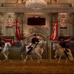 A rare video of the legendary Neapolitano Nima I (born 1979) performing a perfect levade ridden by Andreas Harrer. #spanishridingschool #vienna #lipizzaner #levade #piberstud #lipizzanerheimat #equestrian #culturalheritage #tradition © MR-Film / Prof. Kurt Mrkwicka | Spanische Hofreitschule
