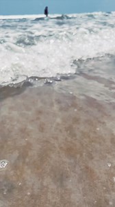 380K views · 549 reactions | Plan it all, or simply plan to arrive. There's no need to worry in Daytona Beach. | Daytona Beach Area Convention and Visitors Bureau | Facebook