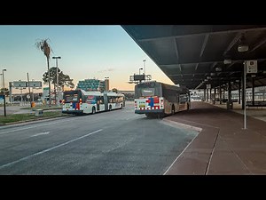 Houston TX, Houston Metro Buses In Action At Eastwood Transit Center