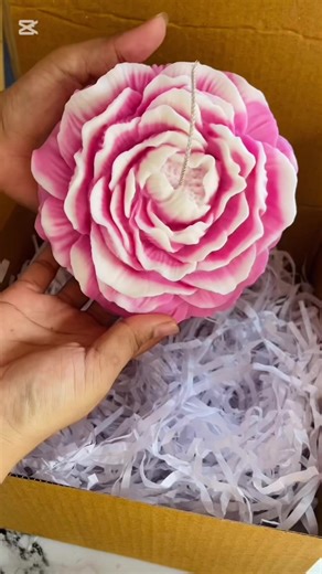 Candle Business Insights for Small Creators