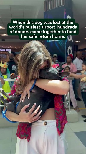 748K views · 9.9K reactions | When best friends get separated, look what help can do. Explore more of the year’s biggest fundraising moments in GoFundMe’s Year in Help review: https://gfme.co/year-in-help | GoFundMe | Facebook