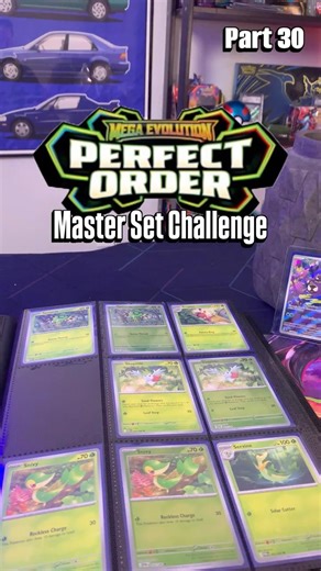 22 Days to go... Should I Be Worried? | Pokémon Perfect Order Master Set Part 30
