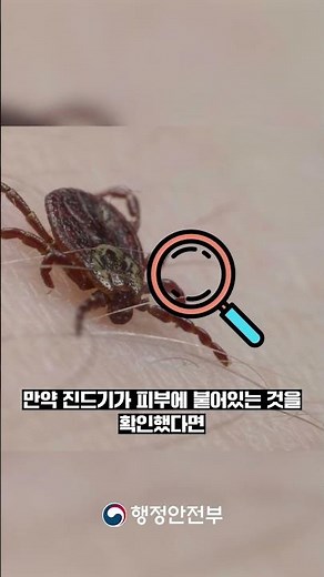 안전한TV [1주1안전] 성묘 가기 전, 이 영상 보고 가세요ㅣ진드기 예방수칙