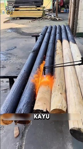 WOOD PRESERVATION METHODS😍