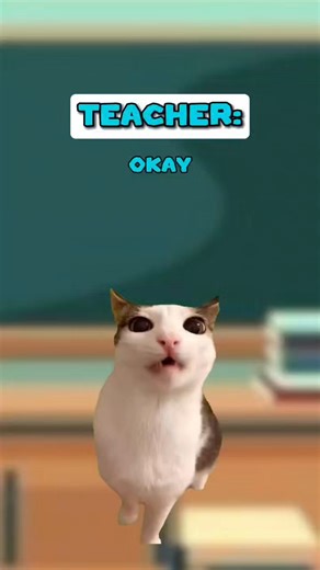 43K views · 765 reactions | Not Smart Teacher  (Cat Meme) | Meowriarty | Facebook