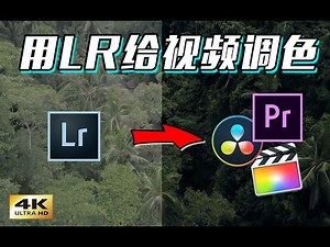 Export Lightroom PRESETS into LUT! Create Your Own LUT using Lightroom for Premiere Pro FCPX Davinci