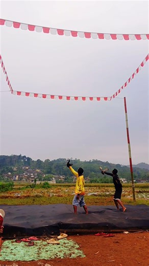 merpati kolong #shorts #trending #merpatikolong #viral #merpati