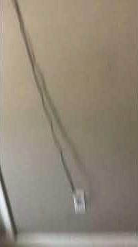 The SpongeBob SquarePants Movie Dennis (2004 HD)