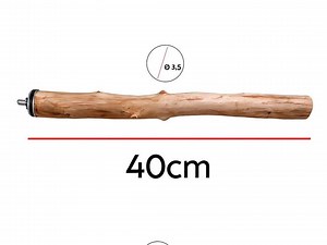 Extra Large Olive Wood Bird Perch – Natural Parrot Stand for Macaws (40cm) - Etsy Australia