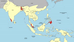 Nipah Virus Outbreak: History of the Deadly Infection