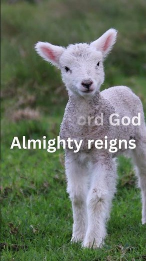 Agnus Dei | #alleluia |#michael W #smith | #worthy is the #lamb #michaelwsmith #hallelujah