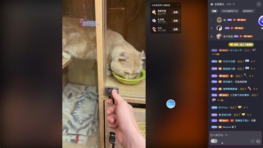 【RW诚c】 20251203直播录屏（带弹幕版 ）米米和咪咪