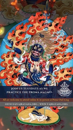 6.9K views · 460 reactions |  Join Us for Troma Nagmo Practice  Every Tuesday at 6pm PST, we gather for the Troma Nagmo, Trochung Sadhana, a profound practice of the Dudjom Tersar lineage. All are warmly welcome to join online or in-person at Pema Osel Ling.  www.vajrayana.org  Livestream: https://www.youtube.com/@thevajrayanafoundation/streams  office@vajrayana.org | Vajrayana Foundation | Facebook