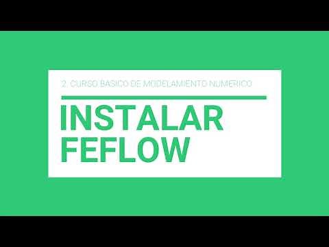 2 Instalación FeFlow