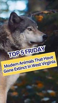 Top 5 Friday Episode 3 - Modern Animals Gone Extinct in West Virginia #wildlife #westvirginia