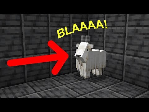 How to Summon Screaming Goats in Minecraft!