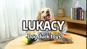 LUKACY Large Duck Dog Toys, Dog Squeaky Toys，Mallard Dog Toy，Dquacking Bird，Bird Dog Chew Toy for Large Dog (Green)