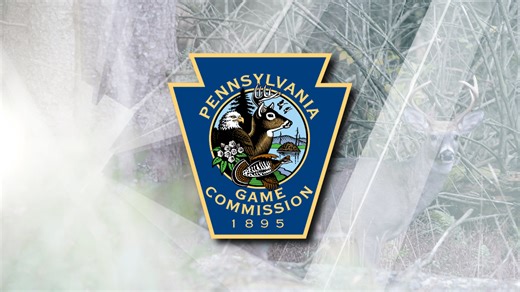 Pennsylvania Game Commission to vote on new Sunday hunting regulation