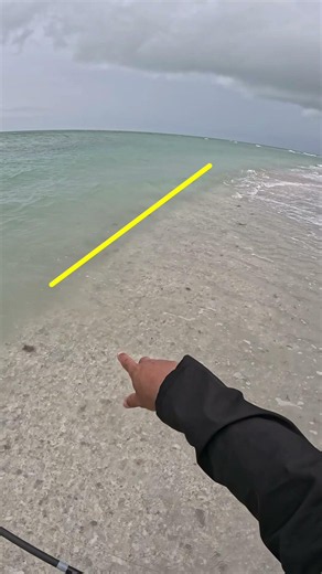Snook Zones on the Beach