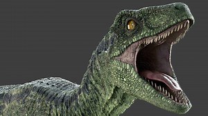 Raptor Renders