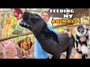 FEEDING MY ANIMAL FAMILY ! (Property Tour)