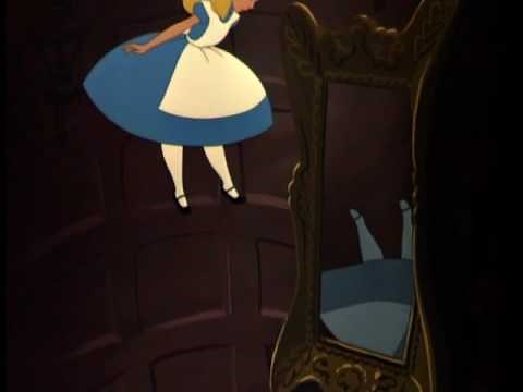 Down the Rabbit Hole