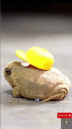 Nature’s Cutest Scream Comes From This Tiny Frog