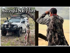 Solo Fallow Deer Hunt in Gippsland | Field Skinning Guide