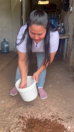 Limpieza y Organización en el Hogar