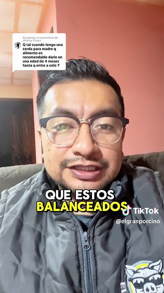 Alimento para cerdas futuras madres y porcicultura rentable