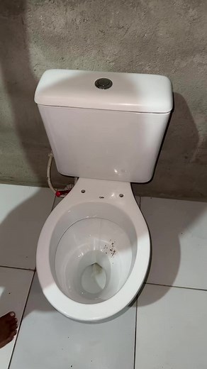 20K views · 265 reactions | Lavando meu banheiro | Minha rotina de casa | Facebook