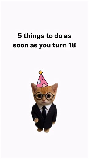 wallstreetkitty on Instagram: "kitty explain 5 things to do as soon as you turn 18"