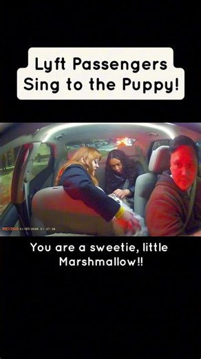Marshmallow Loves When They Start Singing!