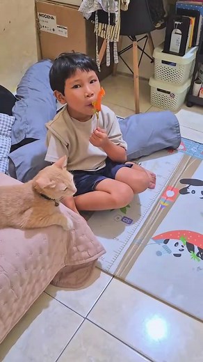 Baby dalam perutku harus tau, kalau dari awal kehamilan dia selalu aku ajak capek kerja, kehujanan, kepanasan, pulang kerja lanjut ngurus kakaknya, ngurus bpknya, ngurus kerjaan rumah. Tapi ketika jadwal periksa Dokter bilang alhamdulillah baby nya sehat dan normal semua aamiin🤲 🥰 sehebat itu baby dalam perut ku 😘