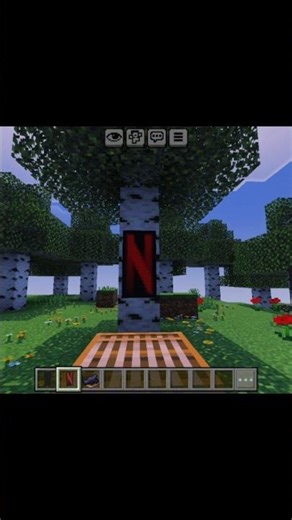 NETFLIX banner | #minecraft