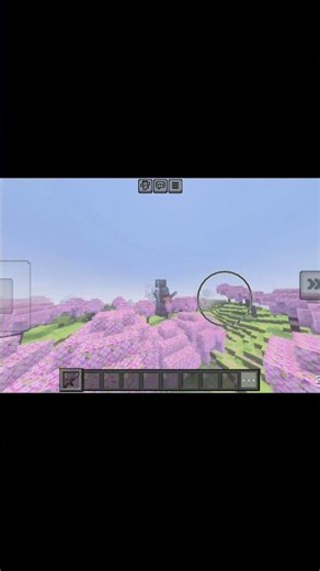 Minecraft Vibrant Visuals max settings #minecraft #shortsvideo