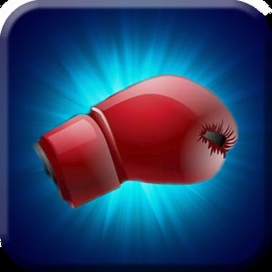 Punch Meter Pro