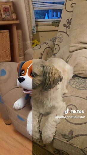 Katherine Flores (@katherineflores82)’s videos with PAW Patrol Opening Theme - PAW Patrol