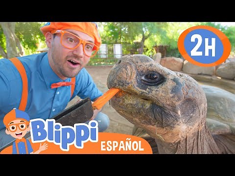 Blippi visita un zoológico y alimenta una tortuga 🐢 Blippi Español | Videos educativos para niños