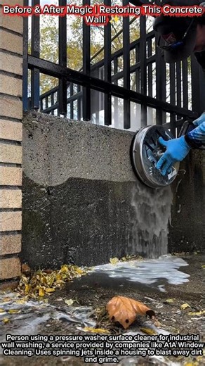 Before & After Magic | Restoring This Concrete Wall! ✨