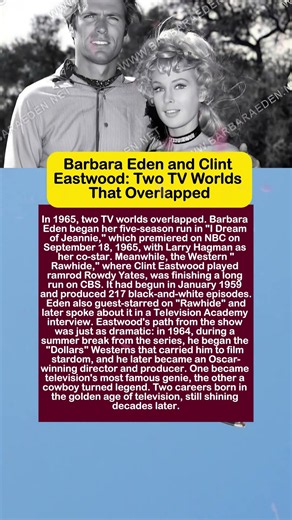 When Barbara Eden Met Clint Eastwood The Golden Age of TV Legends