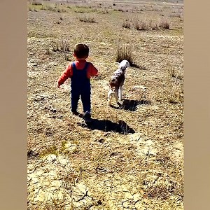 👦🐑 Wholesome moment toddler helps lost lamb reunite with mother in China ▶︎▶︎ Explore #GanJingWorld: https://www.ganjing.com/channel/1fli6i44ik76rdi7TUPIAi9g51cc0c | Gan Jing World
