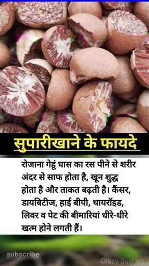 #motivation #jayakishoribhajan #shortsfeed #quotes