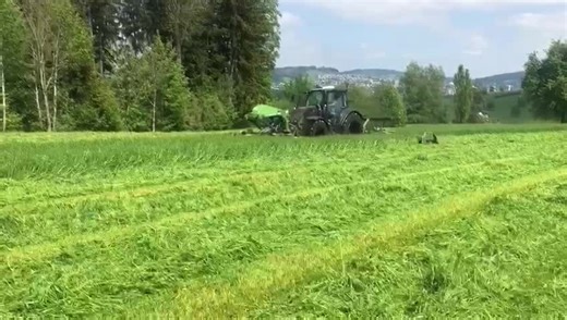 Der mächtige und doch kompakte Valtra Traktor N174 direct ist das agile Arbeitstier 💪 der Valtra Familie. Ergonomie und Komfort ermöglichen ein einfaches und produktives Arbeiten im Kanton Thurgau. 🧡 * Puissant mais compact, le tracteur Valtra N174 direct est la bête de somme agile 💪 de la famille Valtra. Ergonomie et confort permettent de travailler facilement et de manière productive dans le canton de Thurgovie. 🧡 * * * Valtra #valtra #valtapower #Farming | GVS Agrar AG