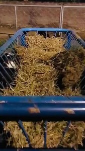 Free Choice Alfalfa Hay | Goat Land Farms